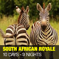 South Africa Royale